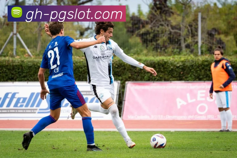 森林舞会官网APP 封面图